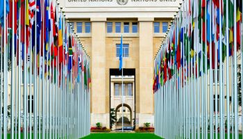 
Can the United Nations Be Reformed?